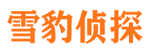 确山侦探公司